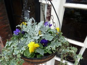 Corporate Hanging Baskets Maintained - Flowers By Flourish