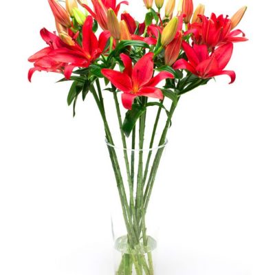 Subscription Flower Delivery - Red Lilies Flowers Delivered Weekly