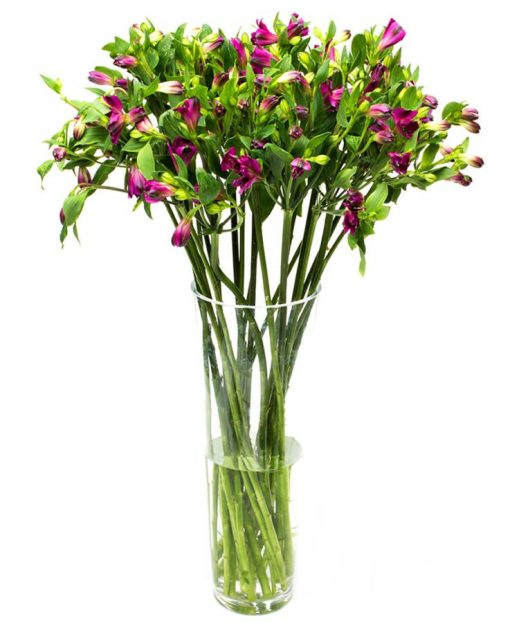 Letterbox FLower Subscriptions delivered - Purple Alstroemeria Flowers Delivered Weekly