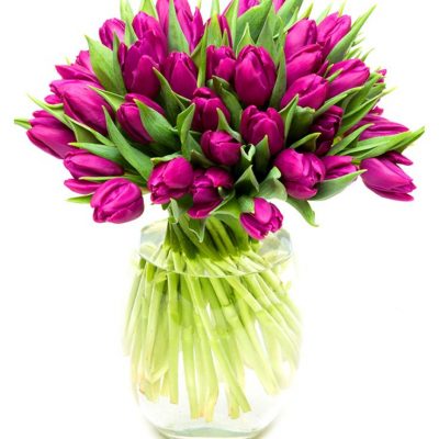 Subscription Flower Delivery - Purple Tulips Flowers Delivered Weekly