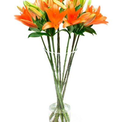 Fortnightly Flower Delivery – Asiatic orange lilies