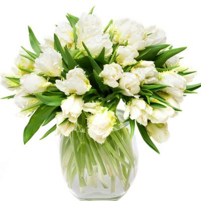 Double White Tulips for the Home or Office delivered weekly