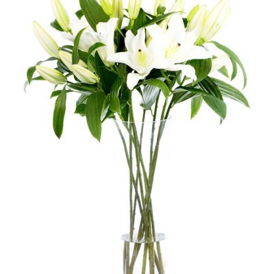 Flower Subscription - Lilies - Oriental - White