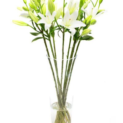 Fortnightly Flower Delivery – white lilies