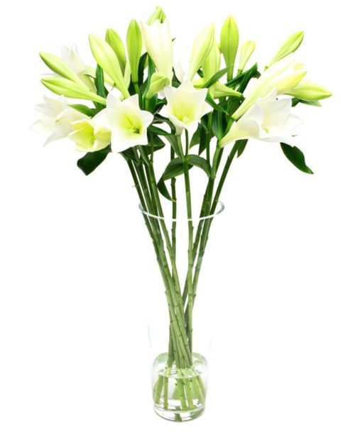 Flower Subscription - Lilies