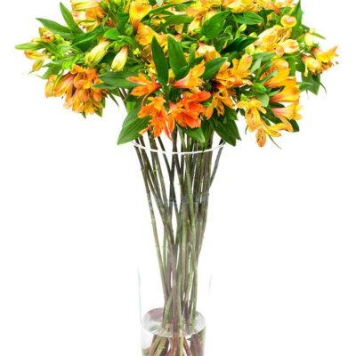 Subscription Flower Delivery - Orange Alstroemeria Flowers Delivered