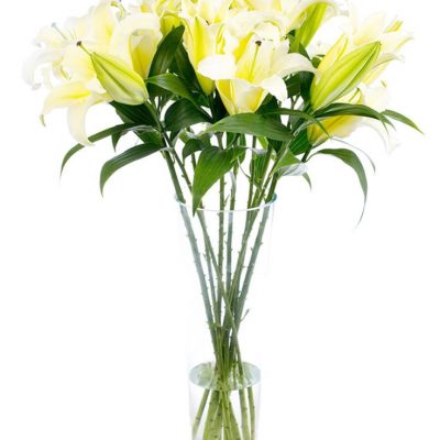 Fortnightly Flower Delivery – Oriental yellow lilies