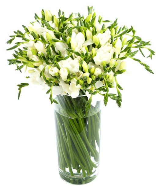 White Freesias Delivered