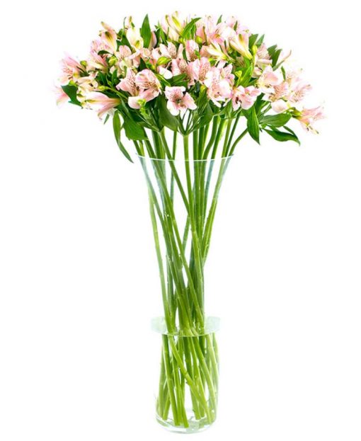 Flower Subscription - Alstroemeria - Pink