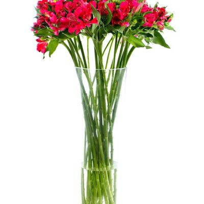 Flower Subscription - Alstroemeria - Red