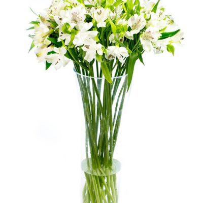 Flower Subscription - Alstroemeria - White