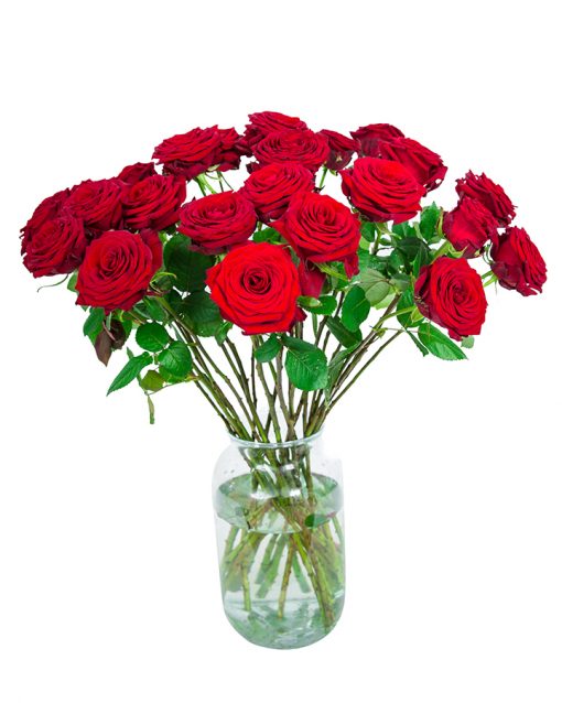 24 Red Roses