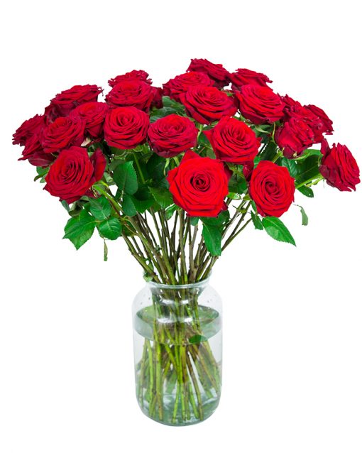 36 Red Roses