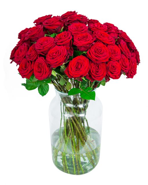 50 Red Roses